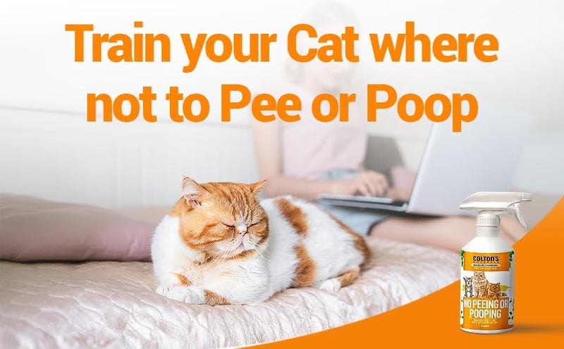 Colton's Naturals رذاذ تدريب القطط على عدم التبول والتبرز، 100% طبيعي - رذاذ غير سام لمنع التبول والتبرز - مصحح رائحة طبيعي لمنع علامات البول - ابق بعيدًا عن تدريب صندوق القمامة (16 أونصة) - Image 2